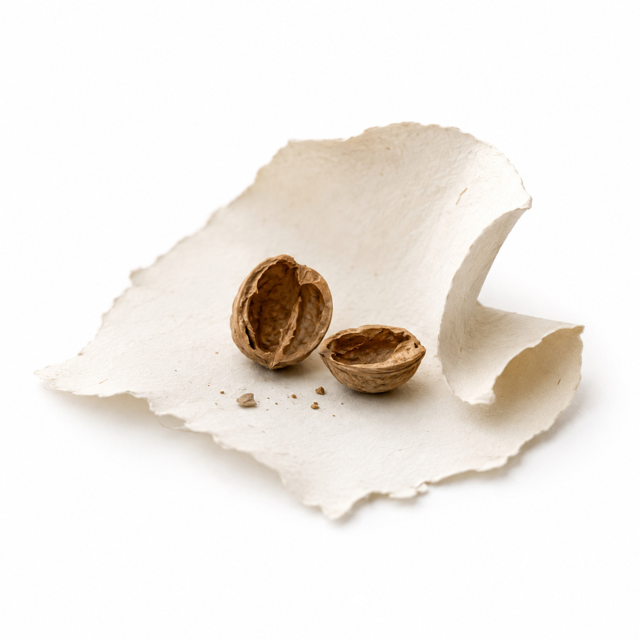Aufgebrochene Walnuss auf handgeschöpftem Papier